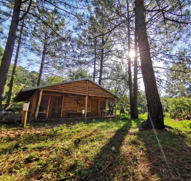 Cabins in the camp 