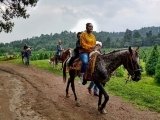 Reiten im Amecameca-Wald 30 Minuten