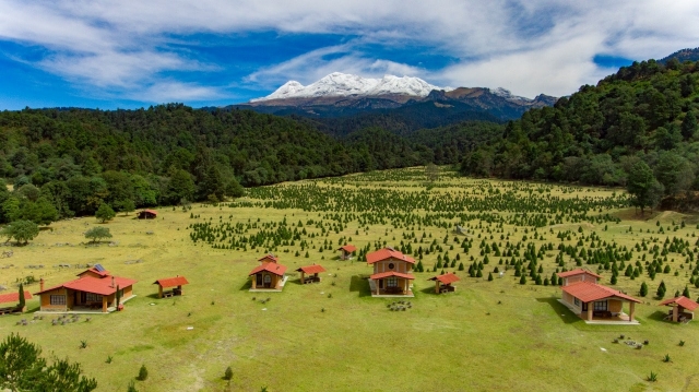 Paisagem para a floresta 