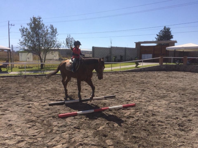 Learning to ride 