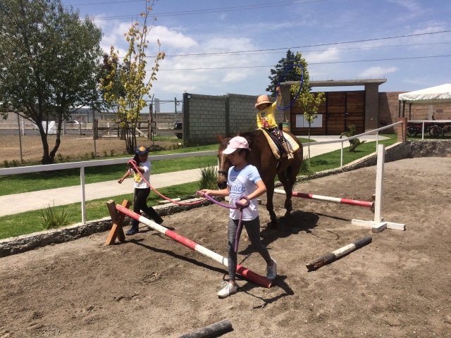  Horseback riding classes in Tlaxcala, Mx 
