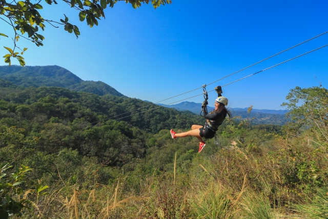  Fliegen Sie mit der Zip Line über die Bäume 