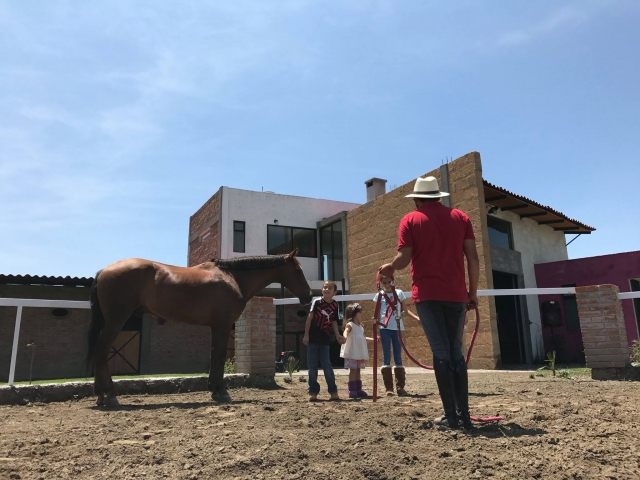  Theoretical horse riding class 