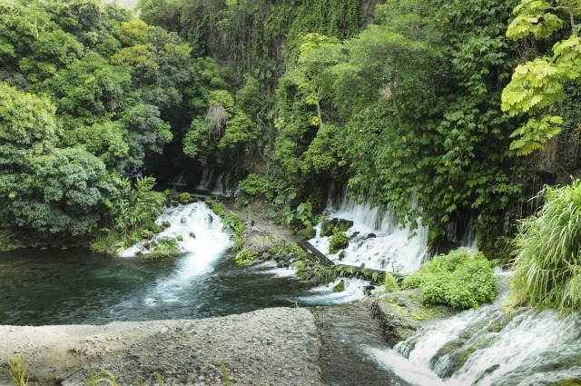  海岸风光 