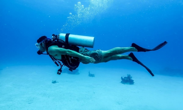  Découvrez la plongée sous-marine
