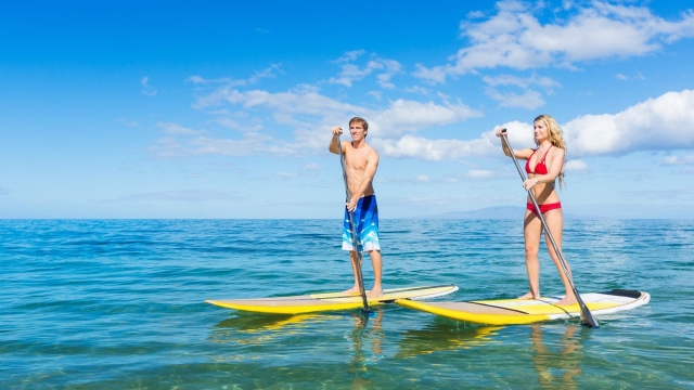 Stand Up Paddle à Tulum 