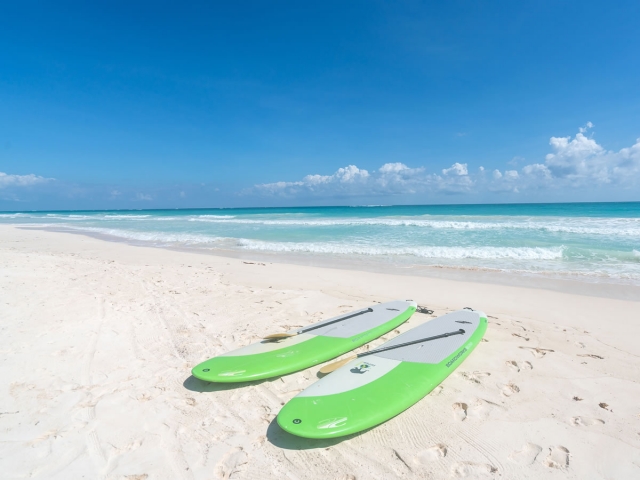  Nous avons une grande variété de Paddle Boards