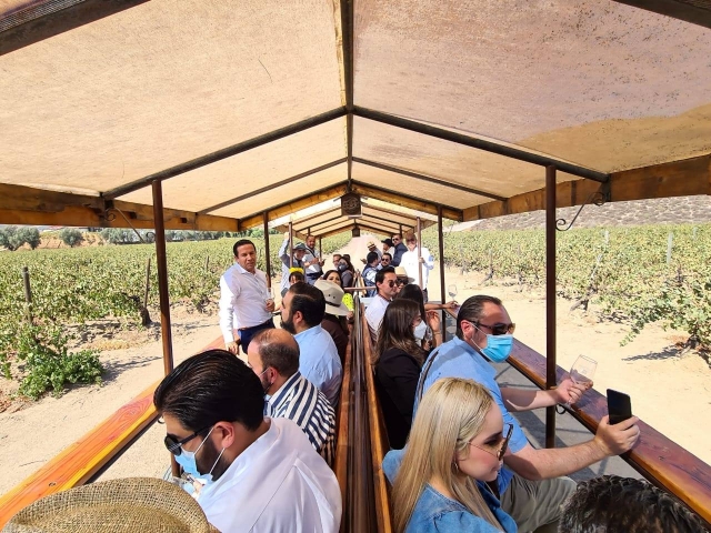  Visitez le vignoble en transport local à travers les champs 