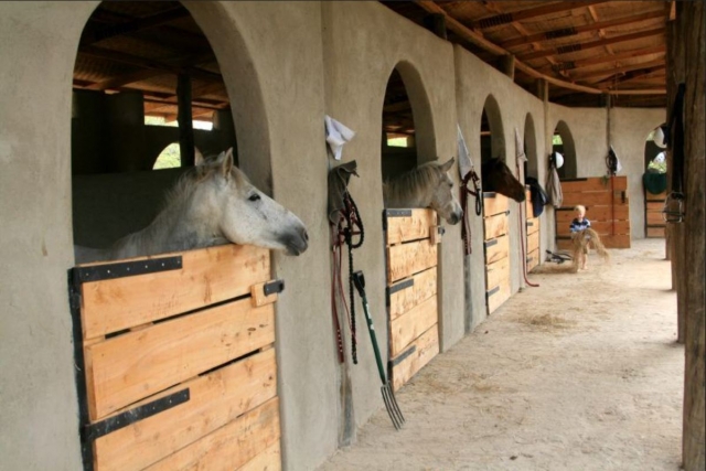  Hacienda con cavalli 