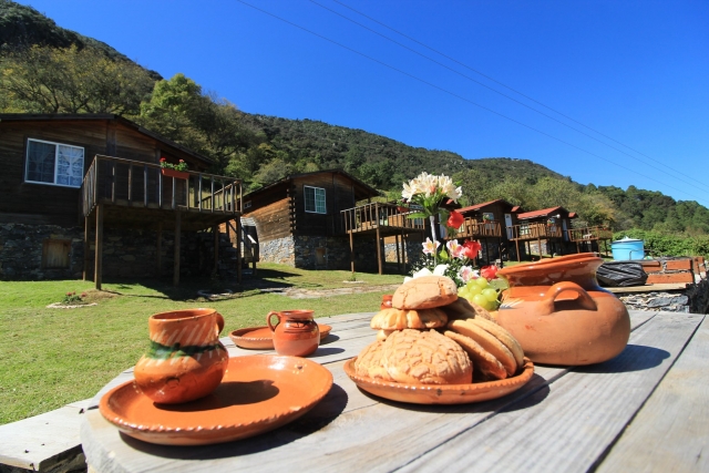  Breakfast in the forest 