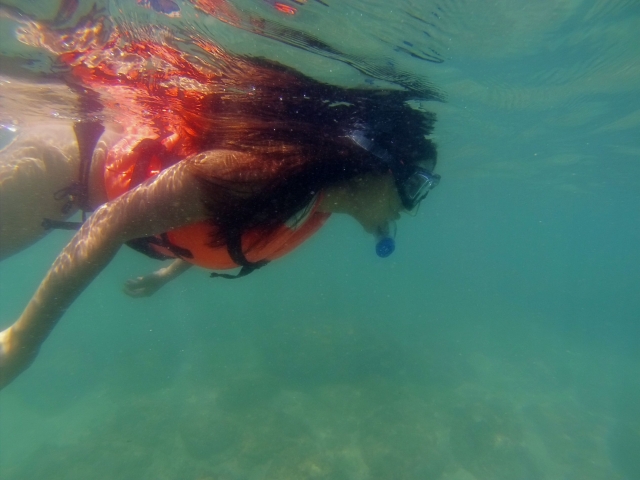  Divertiti possibilità di fare snorkeling 