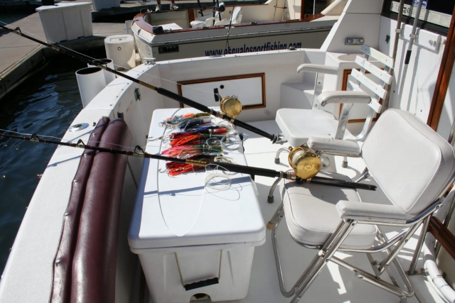 Avrai l'attrezzatura necessaria per la pesca deprotva 