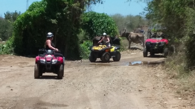  Conosci il nostro 4x4 itinerari a Mazatlán 