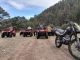 Quad Creel