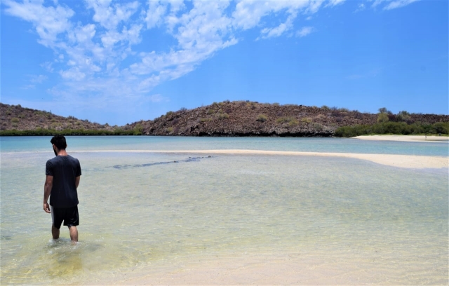 Conoce de las distintas playas ubicadas en Mulegé