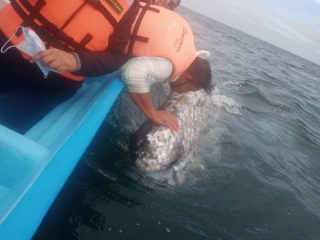 Navega en bote por la laguna ojo de liebre
