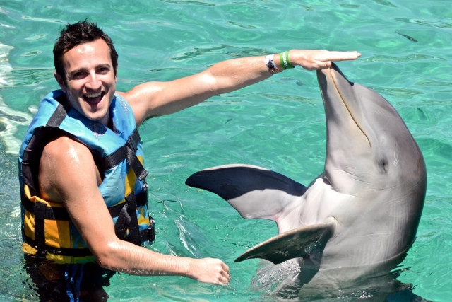  Expérience de nage avec les dauphins 