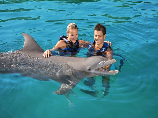  Nager avec les dauphins à Ixtapa Zihuatanejo 