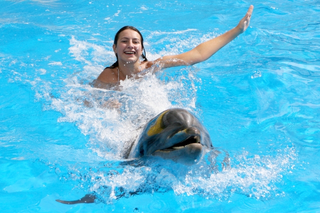 Nager et sauter avec les dauphins à Ixtapa 
