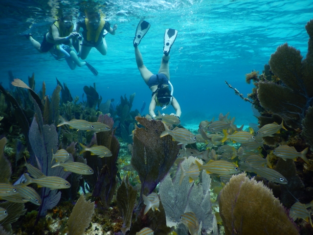 Immergiti nelle profondità di Cozumel