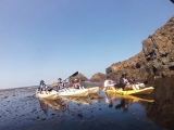 Promenade en kayak à travers la crique d'Arbolitos 1,5 heures