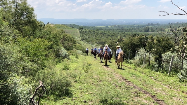  Horseback Riding in the Countryside 