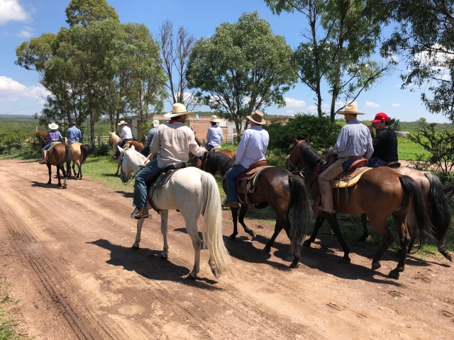  Guided Horseback Riding 