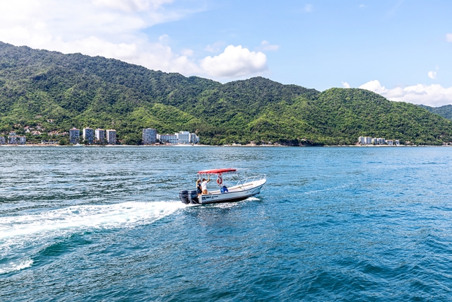  Naviga lungo le coste di Puerto Vallarta 