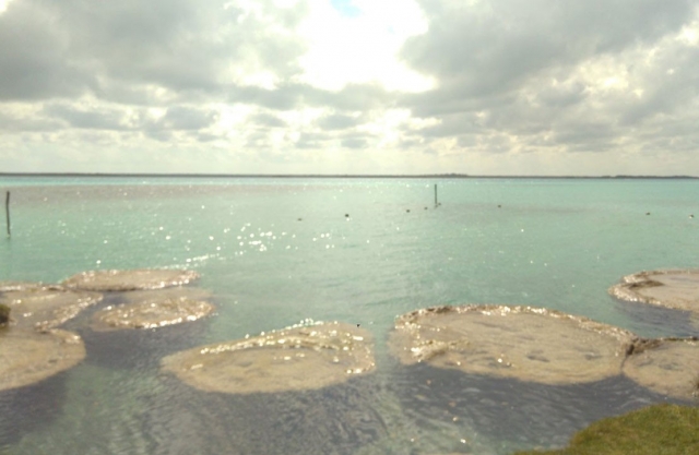 Disfruta de los paisajes de bacalar