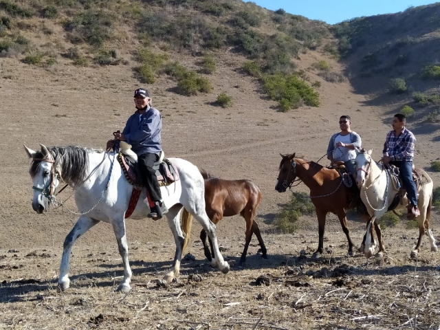  Reiten