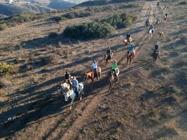 Cabalgatas guiadas