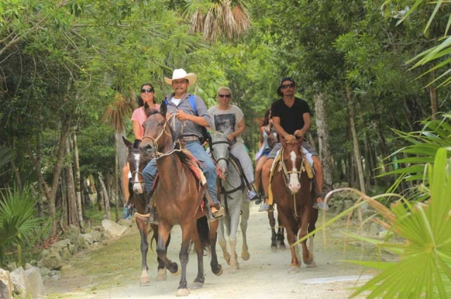  Group horseback riding 