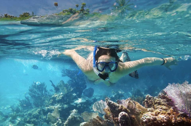 Snorkel en el caribe