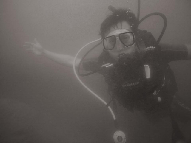 Diving in the Caribbean 