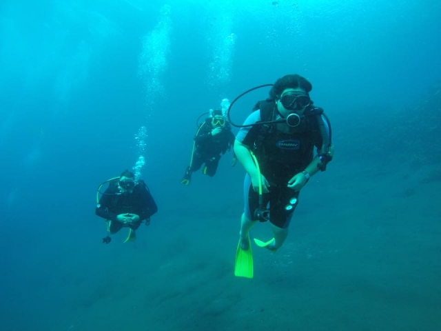  Learning to dive 