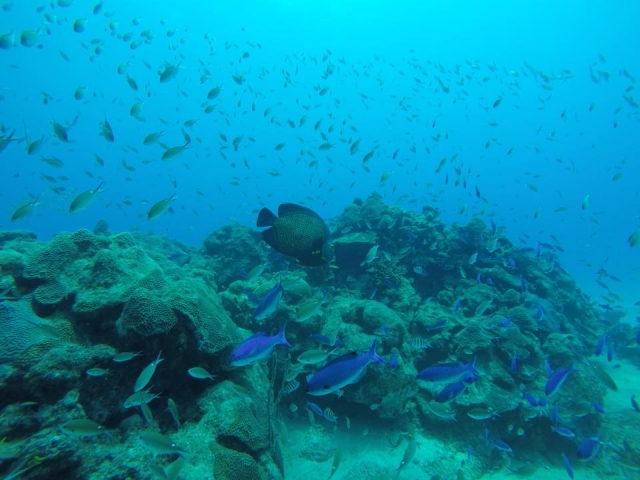  Bellissimi paesaggi acquatici 