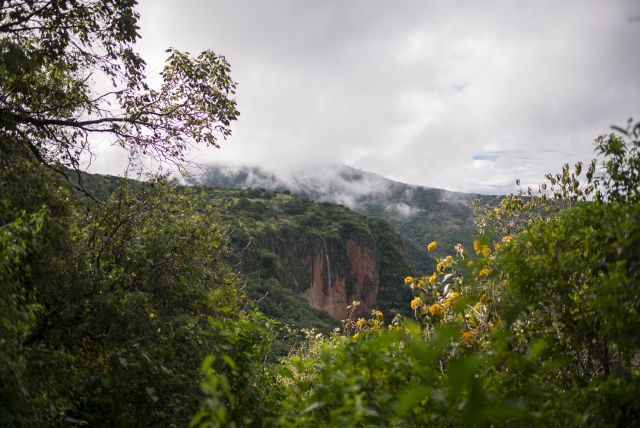 Views towards the mountains 
