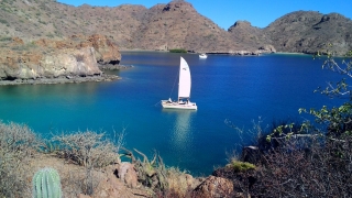 Catamaran ride and snorkeling in Loreto 4 hours