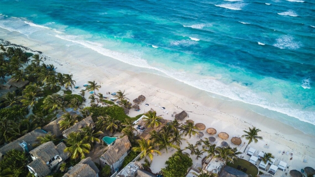 Disfruta del caribe