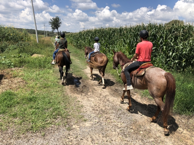  We ride through corn and alfalfa fields 
