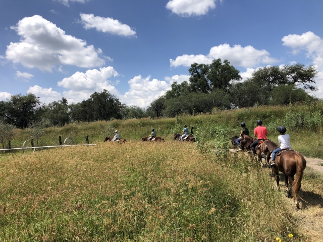  Aires del campo 
