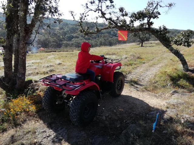  家庭 ATV 
