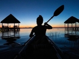 Tour en kayak al amanecer con desayuno en Bacalar