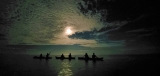 Tour en kayak de bioluminescence à Holbox 1h30