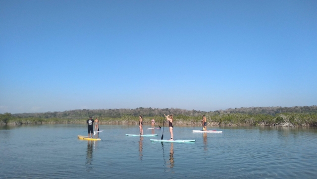  Paddling to the mangroves 