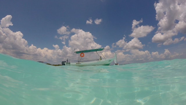  Guided boat ride 