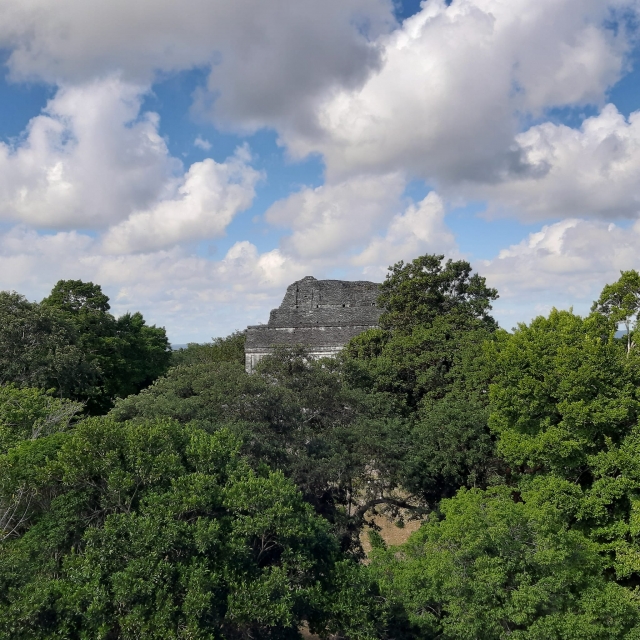 Vista hacia el templo