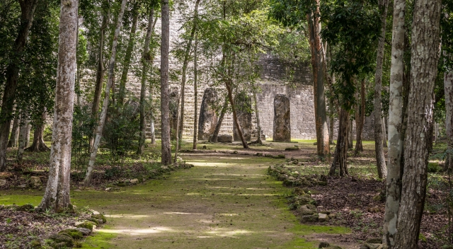  Path to the temple 