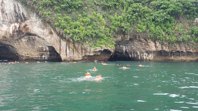  浮潜巴亚尔塔港 