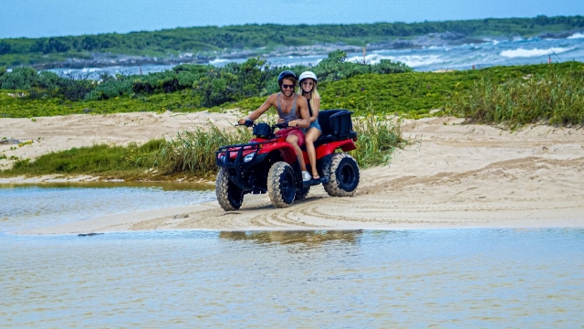  Guida un ATV 